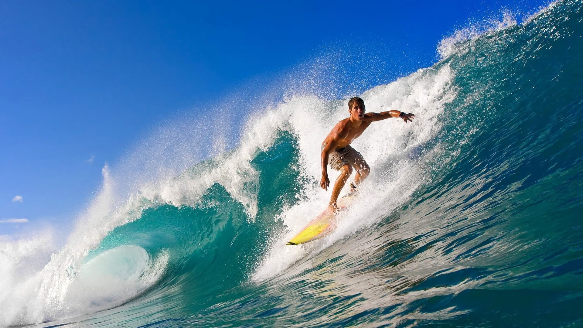 开云官网-星光黯淡,泪光闪耀,那一刻,全队跪地祈祷只为哈兰德,星光黯淡,全队跪地祈祷只为哈兰德